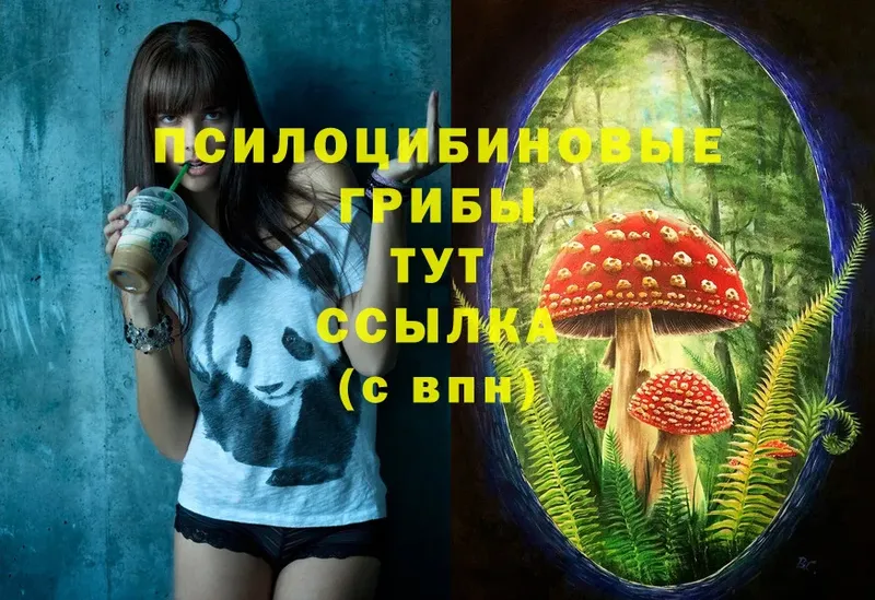 Псилоцибиновые грибы Magic Shrooms  Кемь 